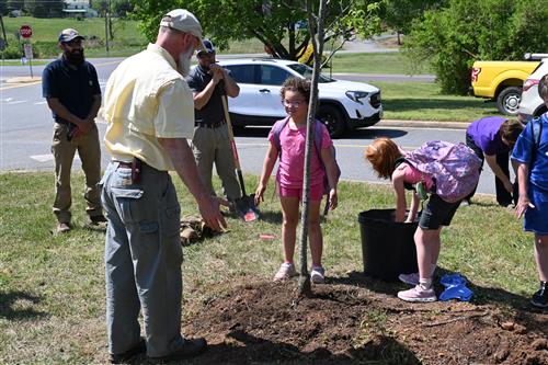 Waverly students help spread mulch onto a thornless honeylocust tree